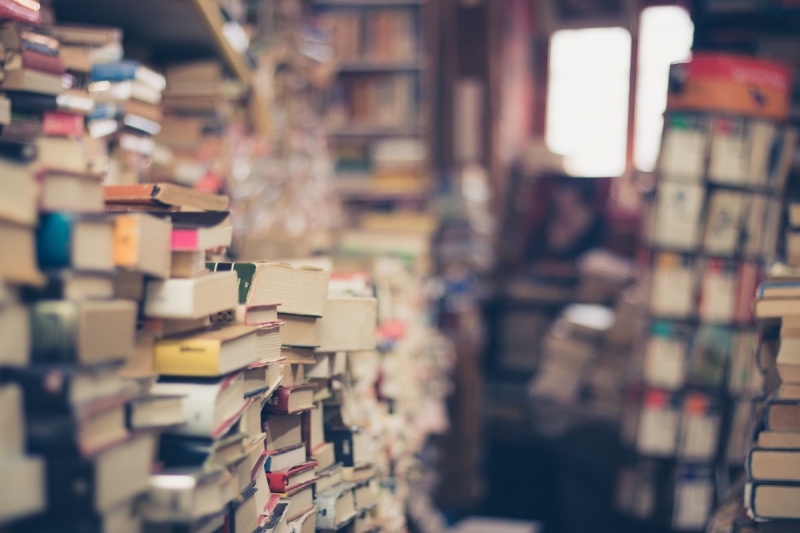 boutique-LE BOURGUET-min_books_stack_book_store_stack_of_books_2nd_hand_retro_hipster_shop-829090